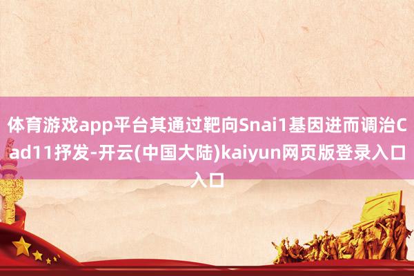 体育游戏app平台其通过靶向Snai1基因进而调治Cad11抒发-开云(中国大陆)kaiyun网页版登录入口