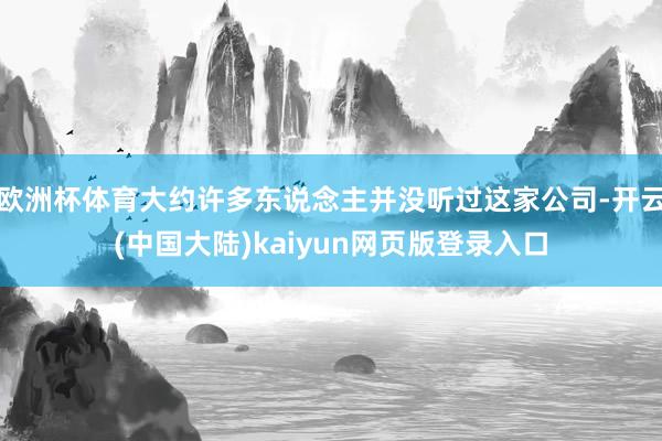 欧洲杯体育大约许多东说念主并没听过这家公司-开云(中国大陆)kaiyun网页版登录入口